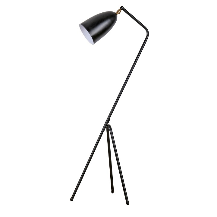 allolampa-CINDA-TYP-23