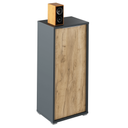 Szekreny--grafit-tolgyfa-artisan--RIOMA-NEW-TYP-10