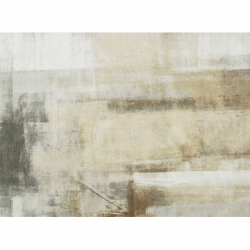 Szonyeg--barna-szurke--160x230--ESMARINA-TYP-1
