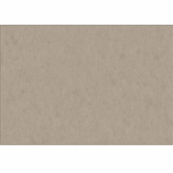 Szonyeg--cappucino--200x300--KALAMBEL