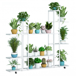 Polcallvany.-feher.-LASKIA