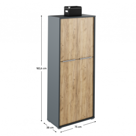 Polc szekrény, grafit/tölgyfa artisan, RIOMA NEW TYP 07 Polc szekrény, grafit/tölgyfa artisan, RIOMA NEW TYP 07