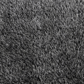 Szőnyeg, fehér-fekete, 200x300, VILAN