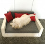 Cica és kutyafekhely kutyakanapé választható színből Cica és kutyafekhely kutyakanapé választható színből
