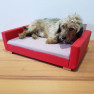 Cica és kutyafekhely kutyakanapé UTOLSÓ DARAB