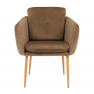 Dizájner fotel, barna Velvet szövet, AVETA