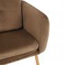 Dizájner fotel, barna Velvet szövet, AVETA