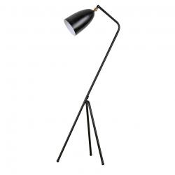 allolampa-CINDA-TYP-23