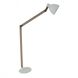allolampa-CINDA-TYP-19
